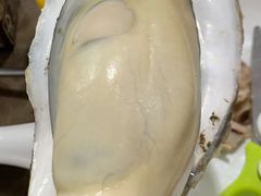 -蚝专家(北滘店)
