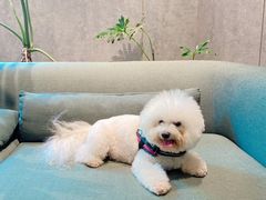 -山下C5cafe(惠通时代广场店)