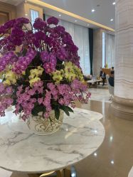 -广州曙光医学美容医院