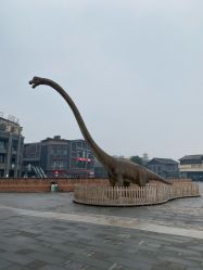 -恐龙探索乐园(磁器口店)