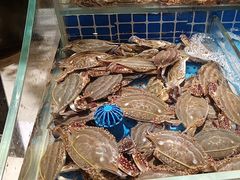 -加餐海鲜自助(集美银泰百货店)