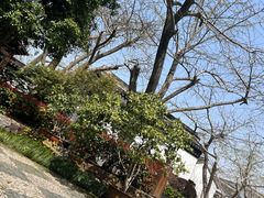-东山雕花楼