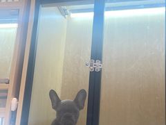 -Win Win电玩·日式の游戏馆