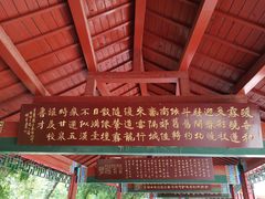 -南海子公园