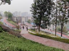 -大渡口区义渡公园