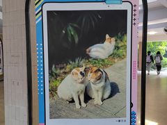 -广州兰圃