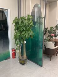 -卡尔诗·科技美肤连锁