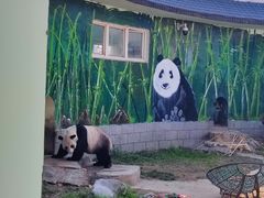 -南昌动物园