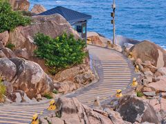 -广东惠东海龟国家级自然保护区