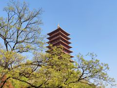 -牛首山文化旅游区