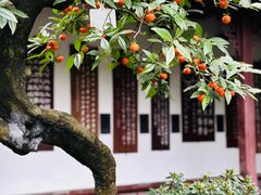 -成都杜甫草堂博物馆