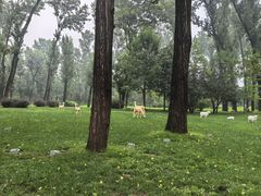 -北京宽沟会议中心