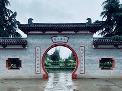 -神州牡丹园