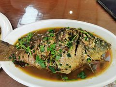 矿泉水炖野生鲤鱼-连池鱼豆味坊(风景区店)