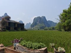 -明仕田园