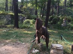 -原山国家森林公园