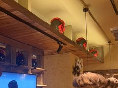 -泥糊破店小酒馆·团建聚餐(南京西路店)