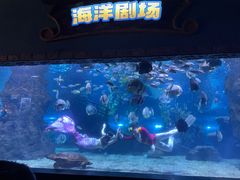 -南昌海洋公园