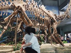 -自贡恐龙博物馆