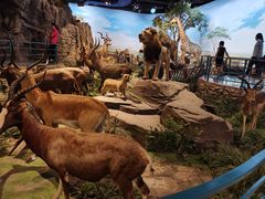 -陕西自然博物馆