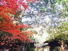 -黄公望隐居地