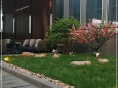 -四季酒店·空中花园 Aria on 9