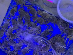-祥鹤龙虾螃蟹