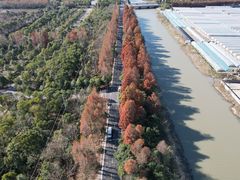 -上海海湾国家森林公园