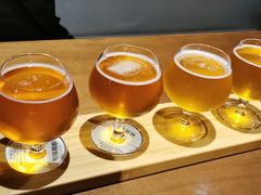 熊猫精酿酸甜苦辣四款＋飞行-熊猫精酿啤酒厨房(1912店)