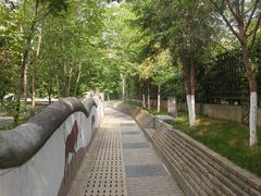 -陕西自然博物馆