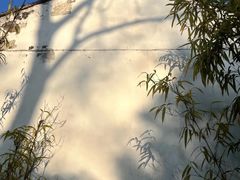 -秋霞圃