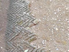 -兰亭风景区