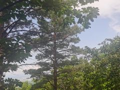 -帽儿山国家森林公园