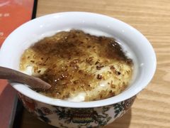 -古树酸奶(八廓南街店)