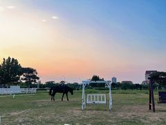 -天津东疆湾沙滩景区
