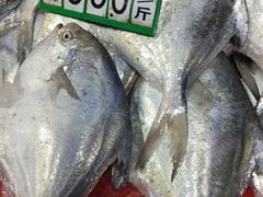 -浦商菜市场·锦德店