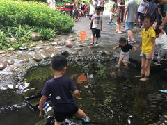 -成都市活水公园