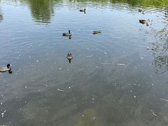 -前关湿地公园