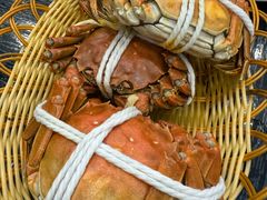 -蟹天蟹地农家菜·阳澄湖大闸蟹(浅水湾店)