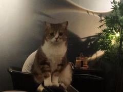 -咖法森林·咖啡  酒吧(天河店)