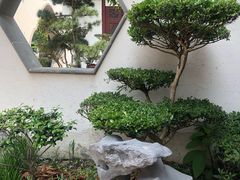 -檀园