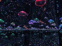 -深圳独角兽星空艺术馆