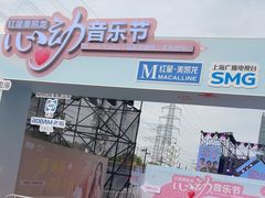 -红星美凯龙(上海沪南店)
