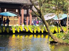 -杭州植物园