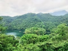 -鼎湖山风景区