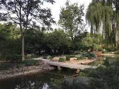 -石家庄市植物园