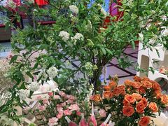 -Libra Flora花店(骆岗中央公园店)