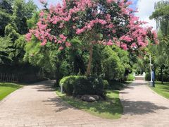 -新虹桥中心花园