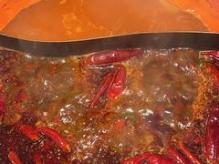 -朱光玉火锅馆(正弘城店)