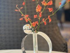 -AZUR聚(香格里拉饭店)